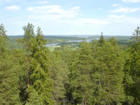 Ylläoleva näkymä Haralanharjun 
 näkötornista.