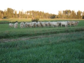 Älkää ollenkaan isotelko! Me olemme sentään
  tämän paikan herroja!
