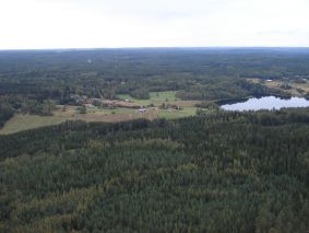 Siitama