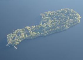 Viikinsaari