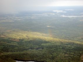 Sateenkaari