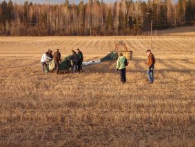 Aurinkoinen pelto