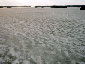 Toutosen 
selkää